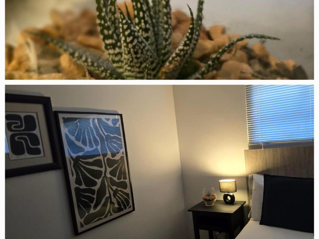 The Lantern Guesthouse Μπλουμφοντέιν Εξωτερικό φωτογραφία